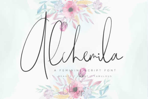 Alchemila: A Designer's Honest Review for Real Projects