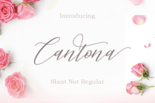Cantona: A Handwritten Font for Editorial Design