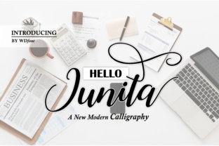 Hello Junita: A Feminine Script Font for Crafters