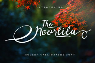 Noorlita: A Premium Script Font for Business Branding