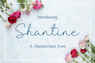 Shantine: An Elegant Script Font for Branding